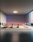 Ceiling Light T1M