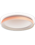 Ceiling Light T1M
