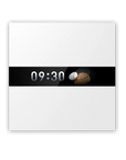 Display Switch V1 EU