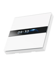 Display Switch V1 EU