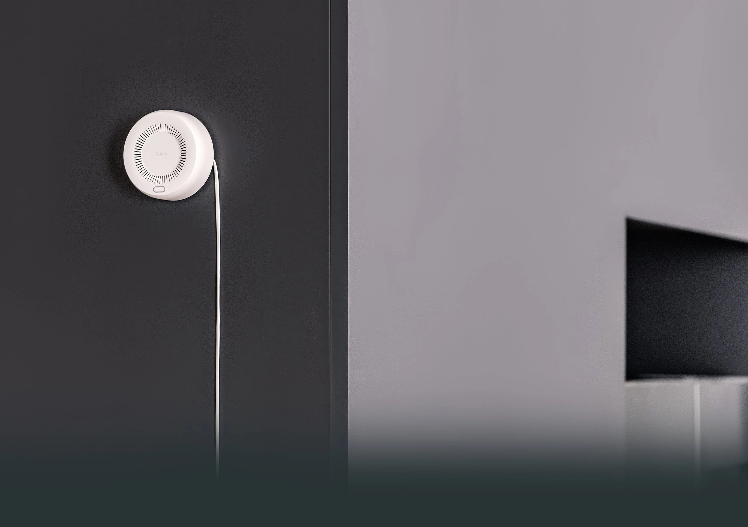 Smart Natural Gas Detector