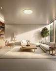 Ceiling Light T1M