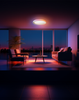 Ceiling Light T1M