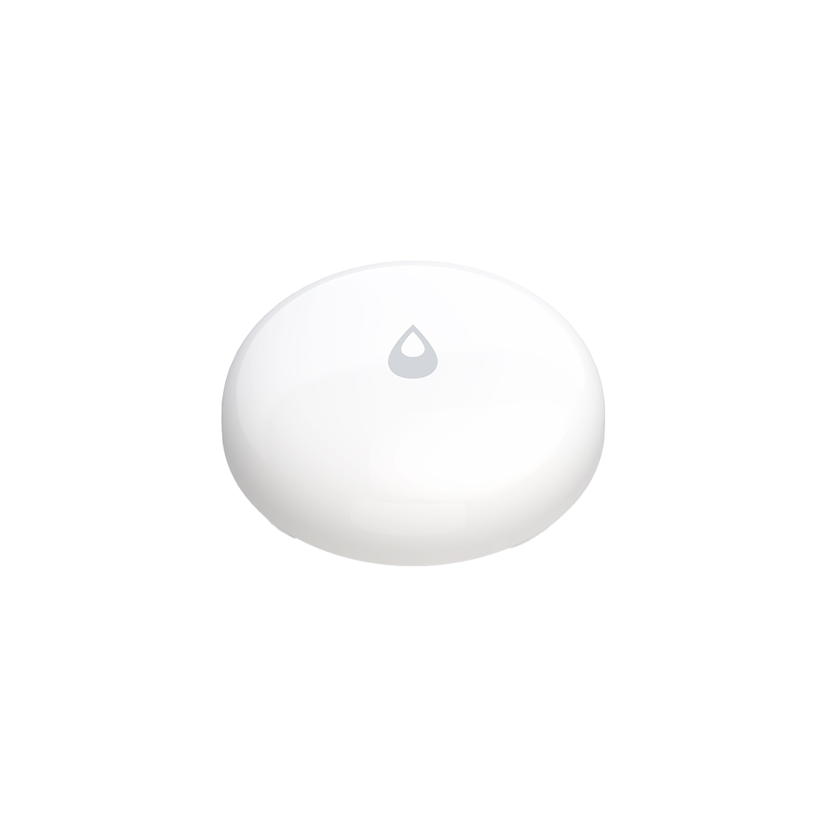Water Leak Sensor T1