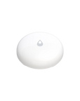 Water Leak Sensor T1