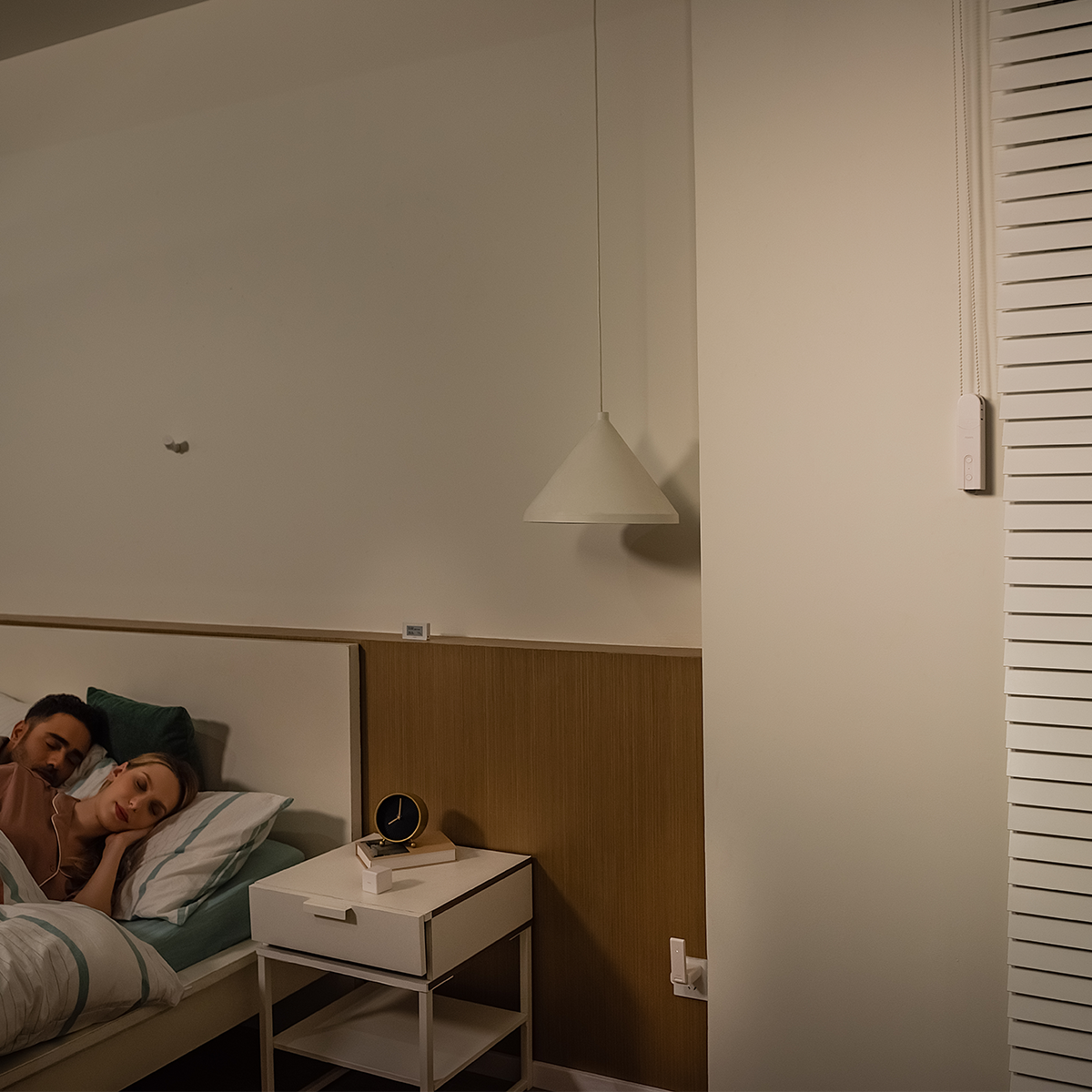 Roller Shade Driver E1