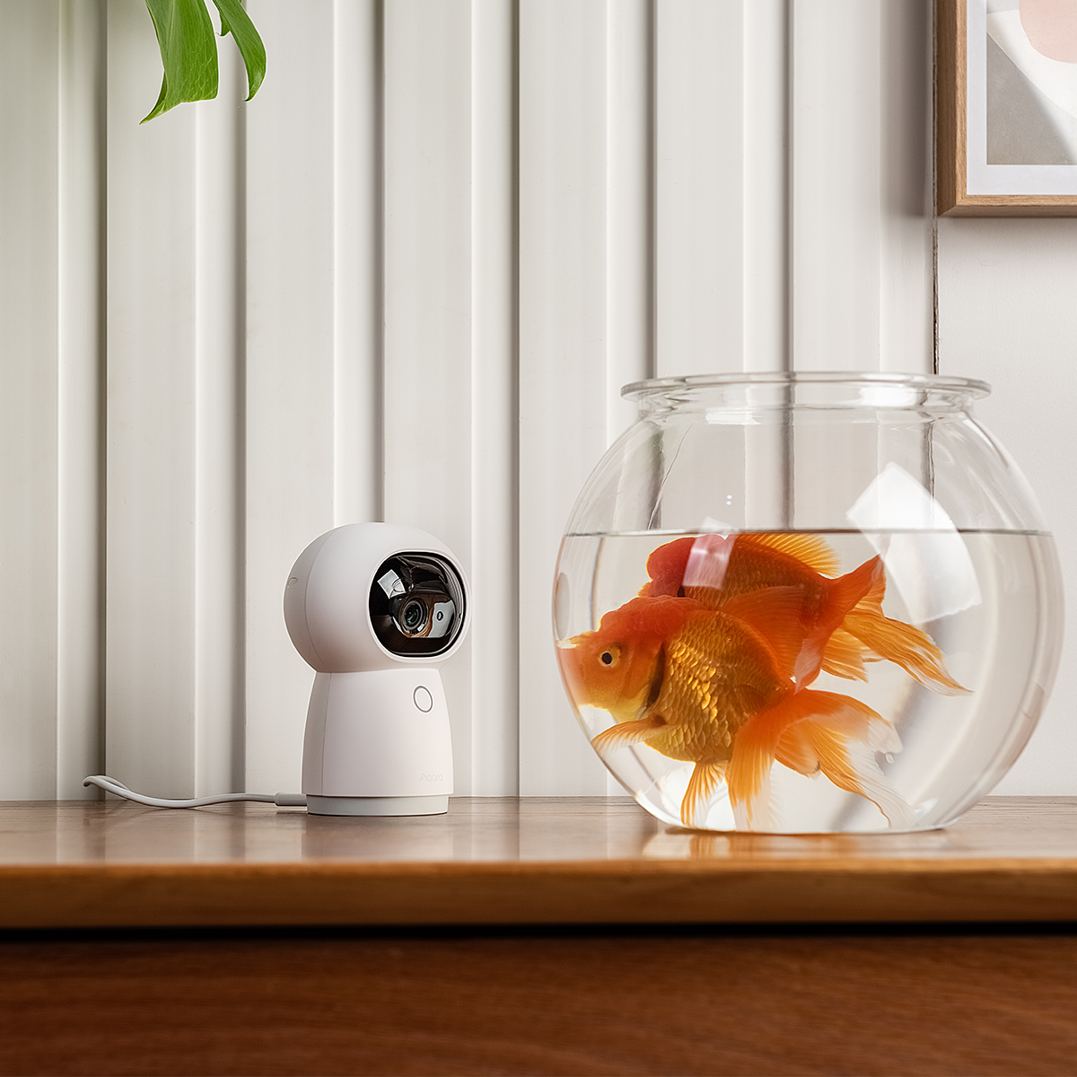 Camera Hub G3 EU