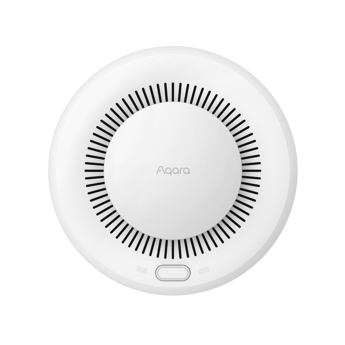 Smart Smoke Detector