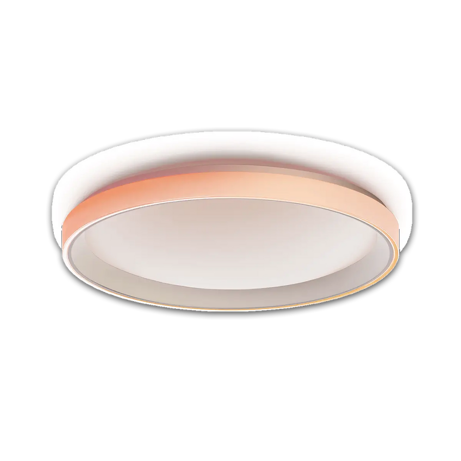 Ceiling Light T1M