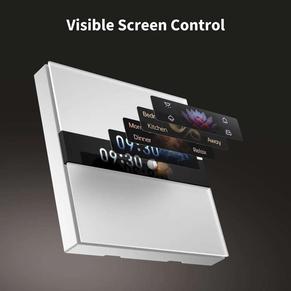 Display Switch V1 EU