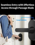 Smart Lock U300